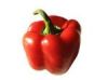 paprika paprika